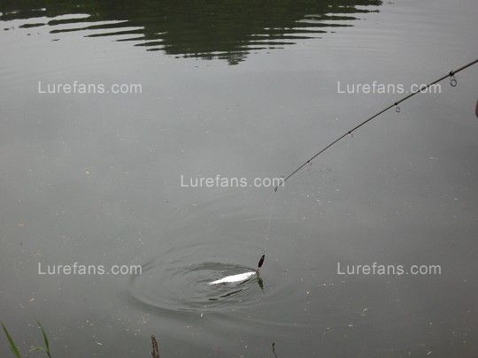 Ƭ 046.jpg