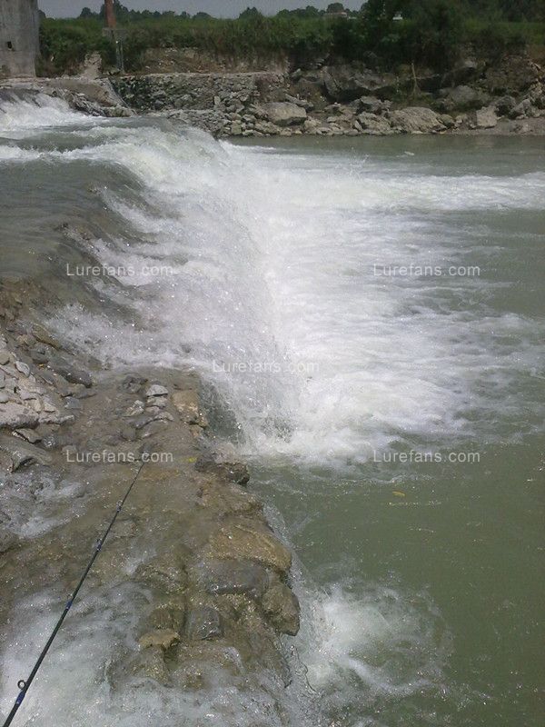 20110710627_.jpg