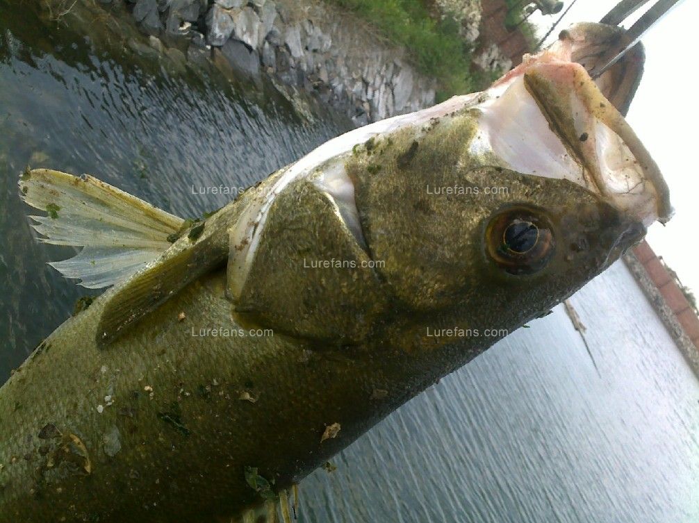 201107141274_1.jpg