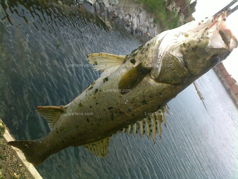 201107141275_1.jpg