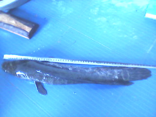 photo20120205.jpg