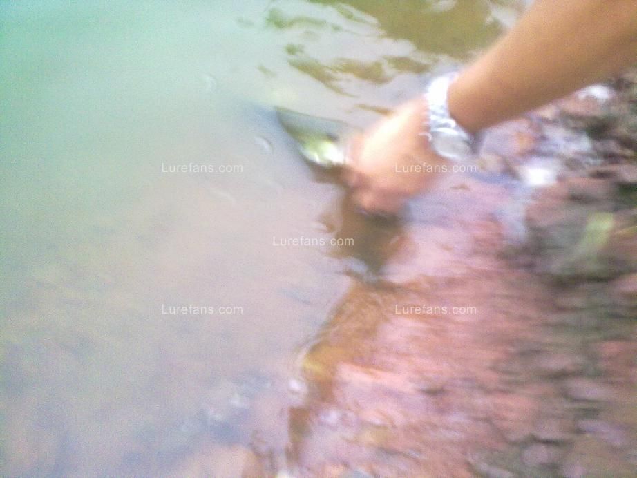 20110714030.jpg