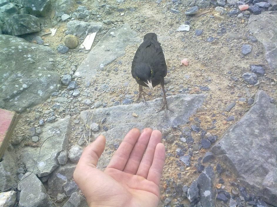 20110723078.jpg