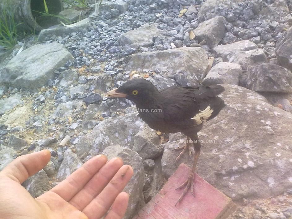 20110723081.jpg