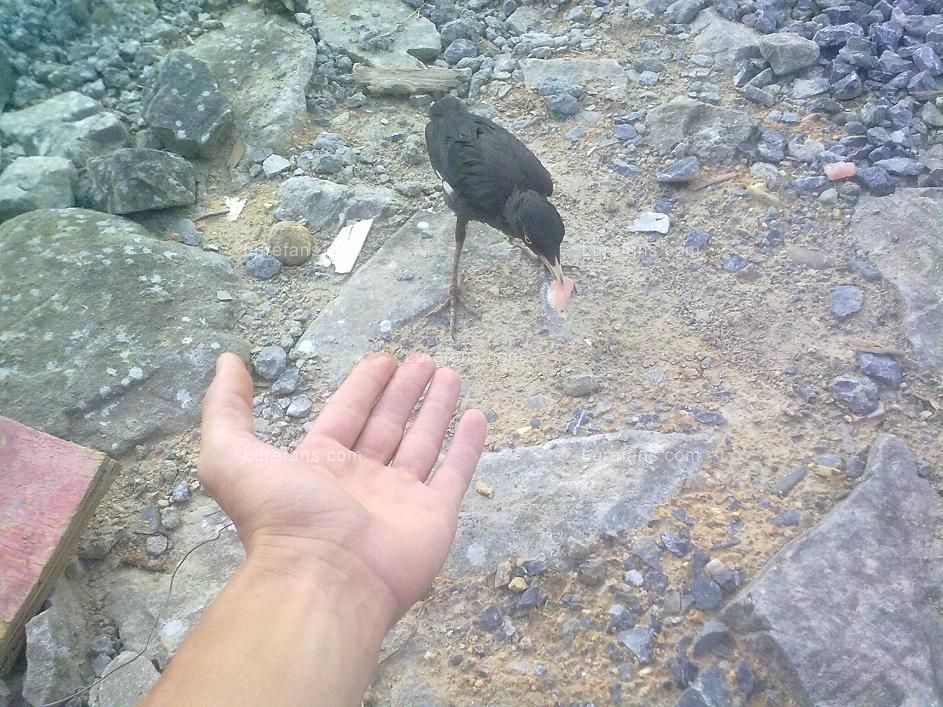 20110723077.jpg