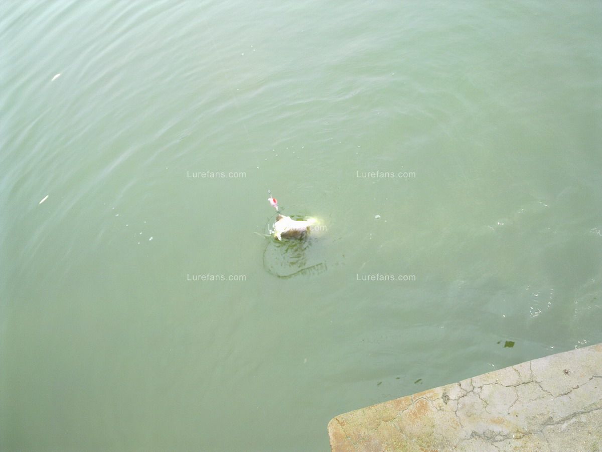 20110723198.jpg