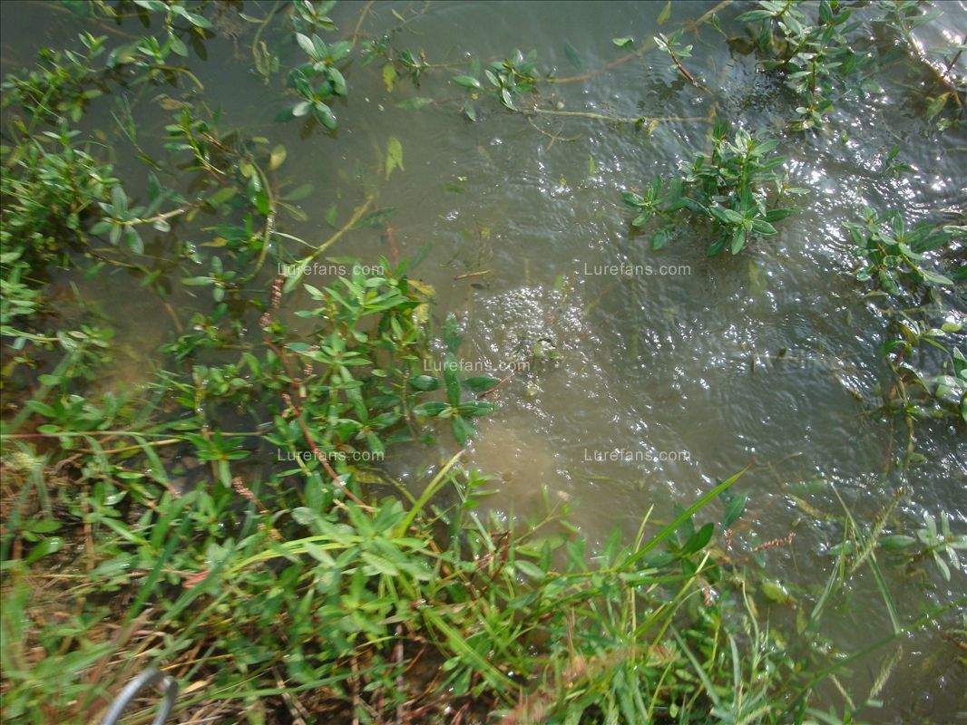 DSC02385.JPG