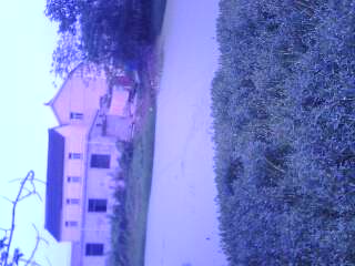 IMG0150A.jpg
